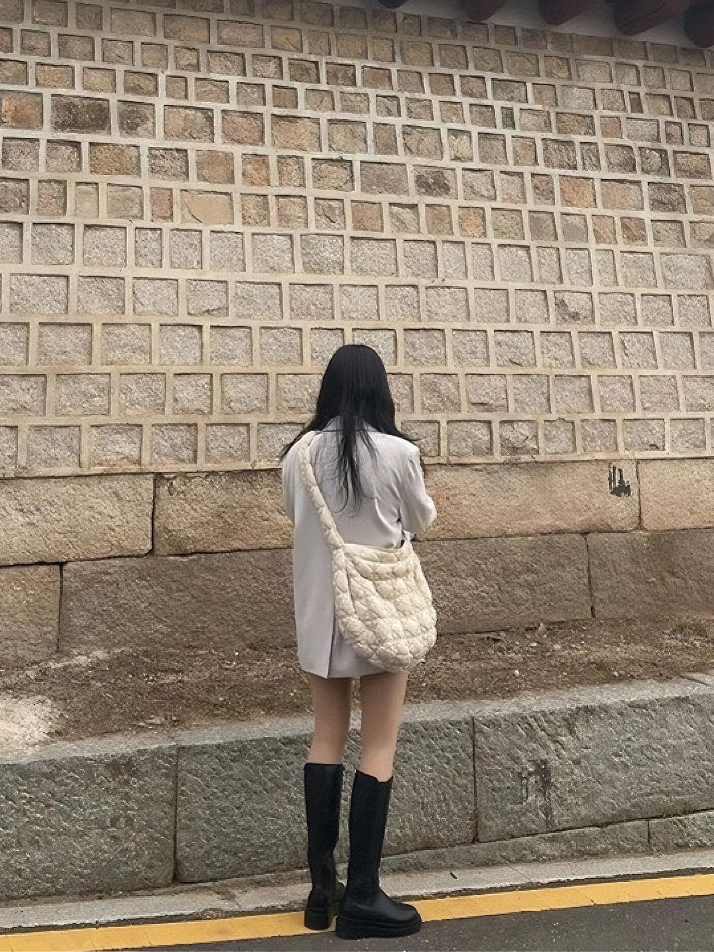 Shoulder Pleated bag